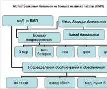 Мотострелковая рота ВС РФ: состав и вооружение Организация и вооружение мотострелкового отделения